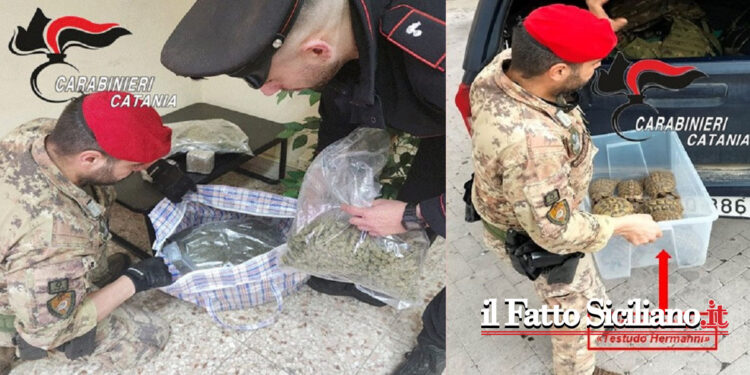 I CC di Giarre hanno arrestato un 23enne del luogo che ai domiciliari aveva 7 kg di droga, la piscina abusiva e tartarughe protette