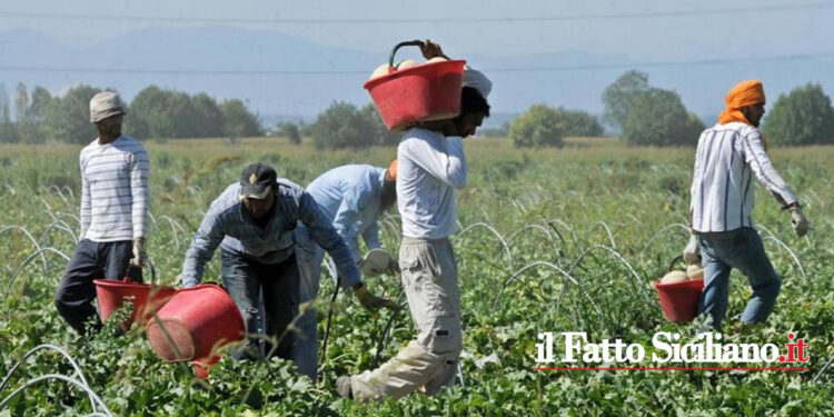 Il Commissariato di Vittoria ha denunciato un imprenditore del luogo che sfruttava otto bangladesi privi di permesso di soggiorno