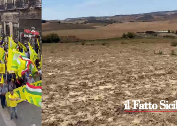 Annosa indolenza della Regione denunciano gli agricoltori a Palermo. Scarseggia pure l’acqua. Un’interrogazione di Castiglione