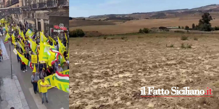 Annosa indolenza della Regione denunciano gli agricoltori a Palermo. Scarseggia pure l’acqua. Un’interrogazione di Castiglione