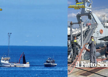 La GdF navale di Messina e Milazzo hanno sanzionato tre pescherecci per pesca di frodo e impiego di lavoratori irregolari