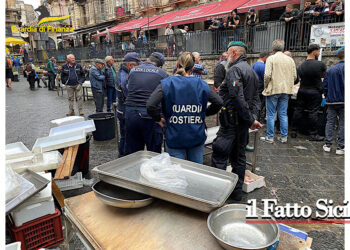 Controlli interforze alla “Pescheria”: pesce di provenienza ignota, candeggina nelle vasche, lavoratori irregolari, abusivi