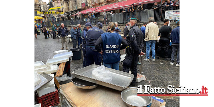 Controlli interforze alla “Pescheria”: pesce di provenienza ignota, candeggina nelle vasche, lavoratori irregolari, abusivi