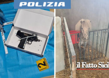 Il Commissariato Nesima durante una minuziosa perquisizione ha rivenuto in un terreno del quartiere armi e droga e un pony