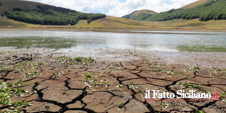 Altri venti milioni di euro per l'emergenza idrica in Sicilia facenti parte di un più complessivo piano contro la siccità nell’Isola