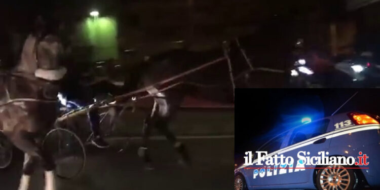 La Polizia di Stato di Messina ha interrotto l’inizio di una corsa clandestina di cavalli con numerose persone su motorini ad assistere