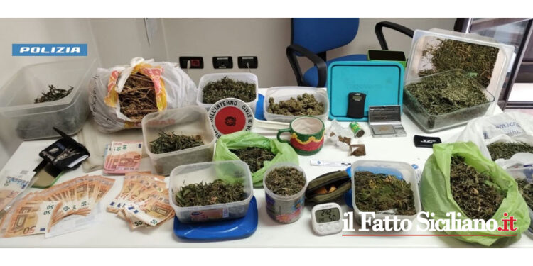 Arrestato dal Commissariato un palermitano residente a Partinico per piantagione di marijuana, spaccio e aggressione agli agenti