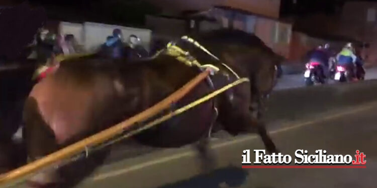 Tradotto in carcere dalla Polizia di Stato di Messina un fantino che mentre era affidato ai servizi sociali partecipava ad una corsa abusiva