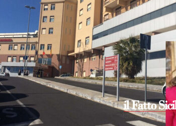 La consigliera comunale di Opposizione del Pd ha presentato un’interrogazione sui lavori di manutenzione della rotonda dell’ospedale