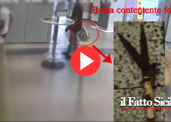 Catania. Arrestato rapinatore seriale (GUARDA VIDEO)
