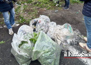 Catania. Grande successo per “Clean up”