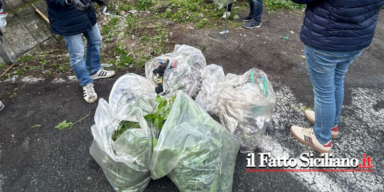 Catania. Grande successo per “Clean up”