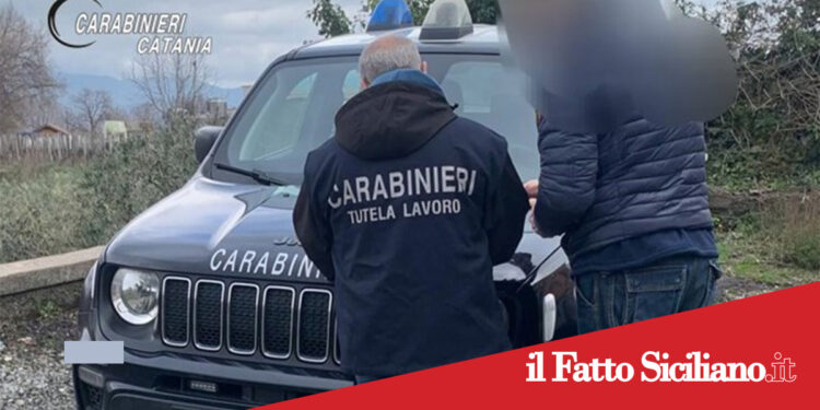 Prov.Catania. Tolleranza zero sul lavoro nero