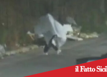 Sicilia. Si traveste da fantasma per buttare la spazzatura per strada