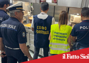 Catania. Lavoratori in nero e pessime condizioni igieniche per un bar/ristorante