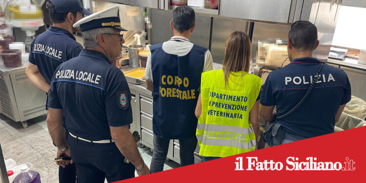 Catania. Lavoratori in nero e pessime condizioni igieniche per un bar/ristorante