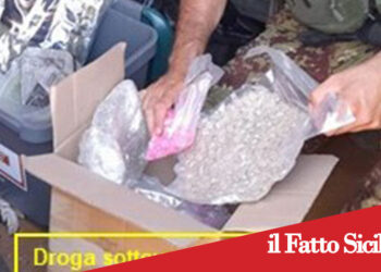 Prov. Catania. Usava container come base di spaccio. Arrestato 33enne