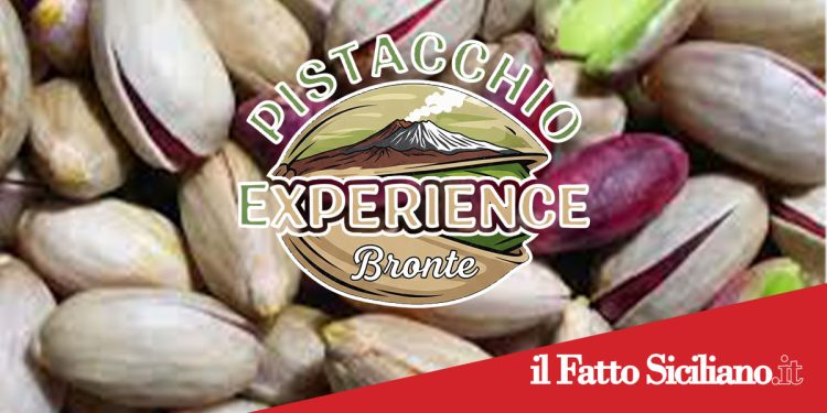 Bronte. Al via “Pistacchio Experience” un viaggio sensoriale gratuito alla scoperta dell’oro verde