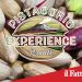 Bronte. Al via “Pistacchio Experience” un viaggio sensoriale gratuito alla scoperta dell’oro verde