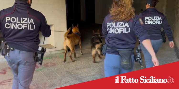 Catania. I cani antidroga della polizia scovano un chilo e mezzo di marijuana a San Cristoforo