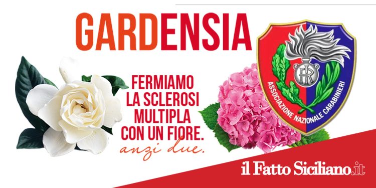 Adrano. L’ 8 marzo l’Associazione Nazionale Carabinieri organizza raccolta fondi a sostegno dell’AISM