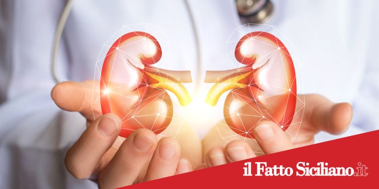 Prevenzione renale. A Catania un confronto multidisciplinare tra medici ed esperti organizzato dal Lions Club Sant’agata Li Battiati