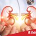 Prevenzione renale. A Catania un confronto multidisciplinare tra medici ed esperti organizzato dal Lions Club Sant’agata Li Battiati