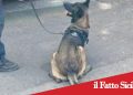 Paternò, droga nascosta in lavanderia: denunciato 42enne