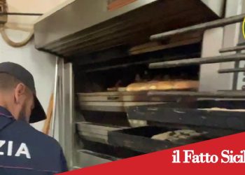 Catania. Cibo non tracciato e locali irregolari