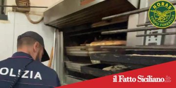 Catania. Cibo non tracciato e locali irregolari