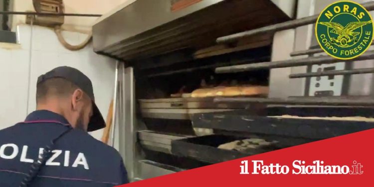 Catania. Cibo non tracciato e locali irregolari