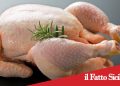Catania .Coppia ruba pollo al supermercato