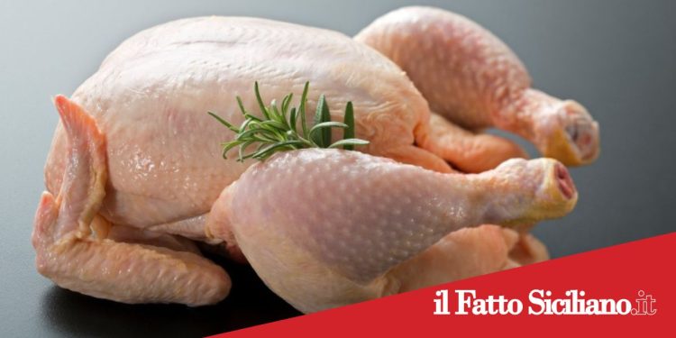 Catania .Coppia ruba pollo al supermercato