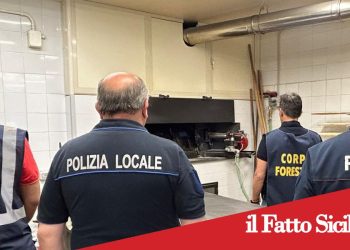 S.M. di Licodia. Cibo scaduto e lavoro nero. Sanzioni per  33mila euro