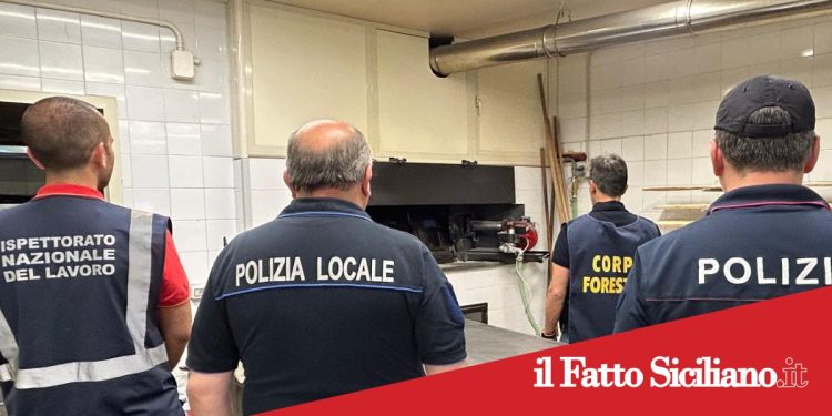S.M. di Licodia. Cibo scaduto e lavoro nero. Sanzioni per  33mila euro