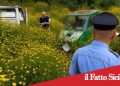 Grammichele.Rifiuti speciali su terreno pubblico.Arrestato 38enne