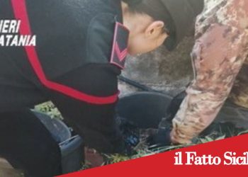 Paternò.Spaccio di droga.Arrestato 21enne