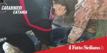 Paternò.Spaccio di droga.Arrestato 21enne