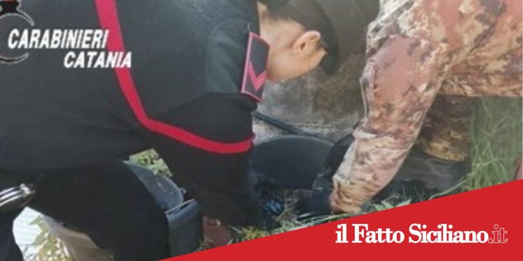 Paternò.Spaccio di droga.Arrestato 21enne
