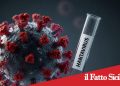 Hantavirus. Individuati laboratori di riferimento a Catania e Palermo