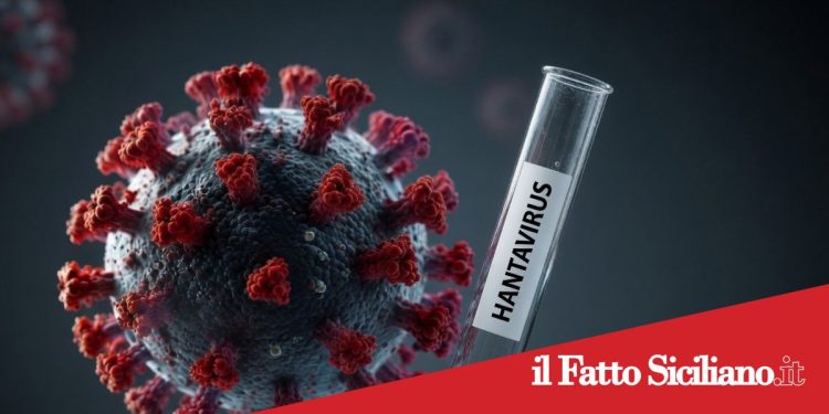 Hantavirus. Individuati laboratori di riferimento a Catania e Palermo