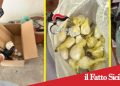 Acireale.Blitz nel garage della cocaina.Sequestrate 19 dosi