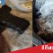 Catania. La droga nella friggitrice ad aria e una pistola in cucina. Arrestato 31enne