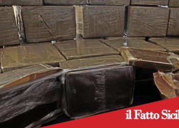Sicilia. Viaggiava con 100 panetti di droga