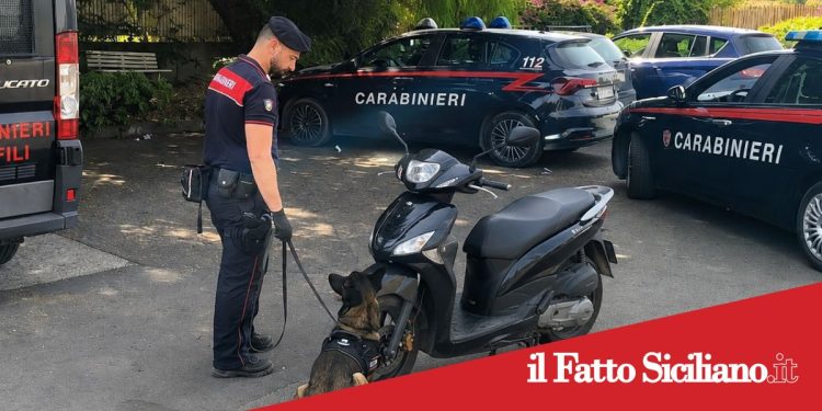 Paternò. Droga nel sottosella.Arrestato un 25enne