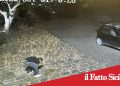 Paternò, ruba basole in pietra lavica, incastrato dai video e denunciato