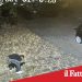 Paternò, ruba basole in pietra lavica, incastrato dai video e denunciato