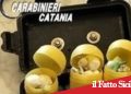 Paternò, tenta di disfarsi della droga e la lancia dal balcone: arrestato