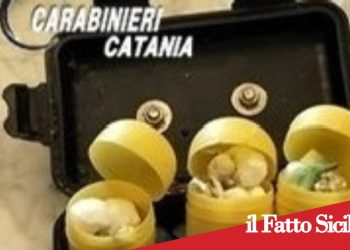 Paternò, tenta di disfarsi della droga e la lancia dal balcone: arrestato
