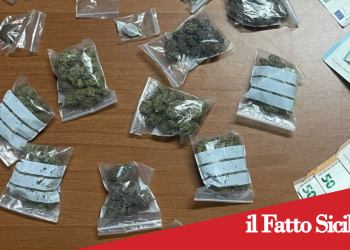 Catania.Operazioni anti-droga: tre arresti